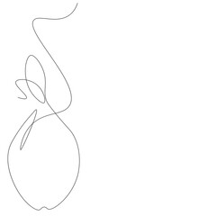Pear fruit on white background. Vector illustration