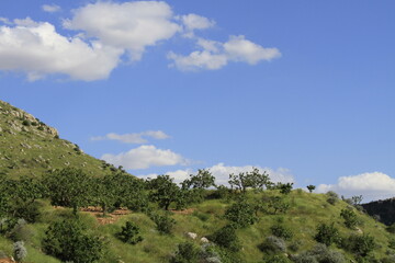 As the population of the city decreased to 5-10 households in the 19th century and Rumkale was...