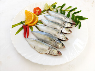 Cleaned and Ready to cook Fresh Fish Horse / Indian Mackerel Fish Decorated with herbs and Vegetables on a white plate.