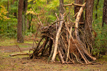 A kind of simple hut made by children out of wood and branches from the forest in the autumn forest...