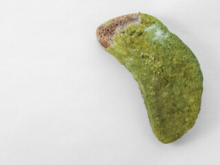 A piece of bread covered with green mold on a white background isolate