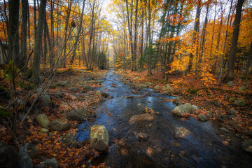 Autumn colors in Vermont