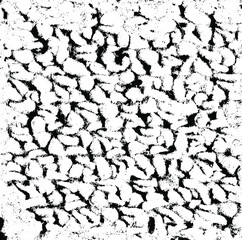 Rough black and white texture vector. Distressed overlay texture. Grunge background. Abstract textured effect. Vector Illustration. Black isolated on white background. EPS10