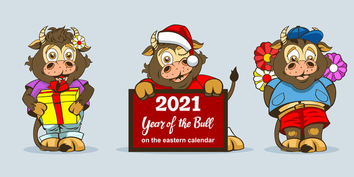 Three baby bulls in different full-length poses for festive decorations or Happy New Year.