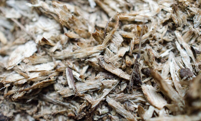 wood scraps on the ground