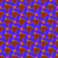 Aurumn seamless Astronira's pattern with a maple leaves in a bright translucent colors