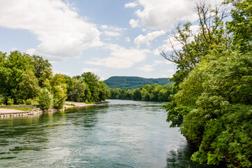 Brugg, Wasserschloss, Flusslandschaft, Aare, Fluss, Aareuferschutzgebiet, Wald, Waldweg,...