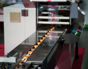 Horizontal flow automatic cookie pouch packing machine in food industry