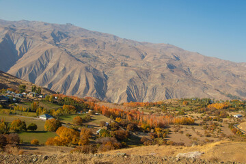 landscape in the mountains