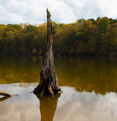 Fall reflections at Falls Lake
