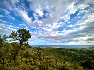 Fusión de nubes y verde
