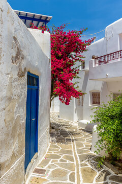 Traditional Cycladitic alley with narrow street, whitewashed houses and a blooming bougainvillea in Marpissa Paros island, Greece.