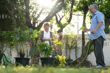 Naklejka na ściany i meble Happy retirement life, Asian elderly couples plant a tree in the garden.