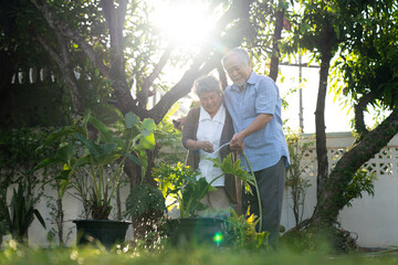 Naklejka na ściany i meble Happy retirement life, Asian elderly couples plant a tree in the garden.