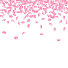 Sakura petals falling down. Romantic pink bright m