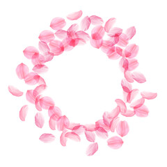 Fototapeta na wymiar Sakura petals falling down. Romantic pink silky bi