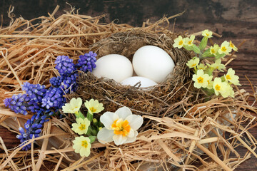 Fototapeta na wymiar Symbol of Spring with natural bird nest, white eggs, primroses, grape hyacinths & narcissus flowers on rustic wood background. Renewal concept for Springtime.