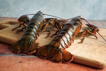 Fresh lobsters ready to be cooked