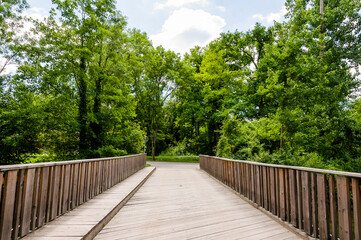 Fototapeta na wymiar Brugg, Wasserschloss, Flusslandschaft, Aare, Fluss, Aareuferschutzgebiet, Brücke, Holzbrücke, Wald, Waldweg, Brückenwanderung, Auenschutzpark, Aargau, Sommer, Schweiz