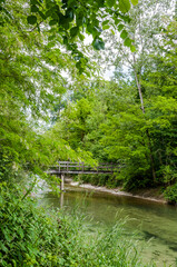 Brugg, Wasserschloss, Flusslandschaft, Aare, Fluss, Aareuferschutzgebiet, Wald, Waldweg, Brückenwanderung, Auenschutzpark, Aargau, Sommer, Schweiz