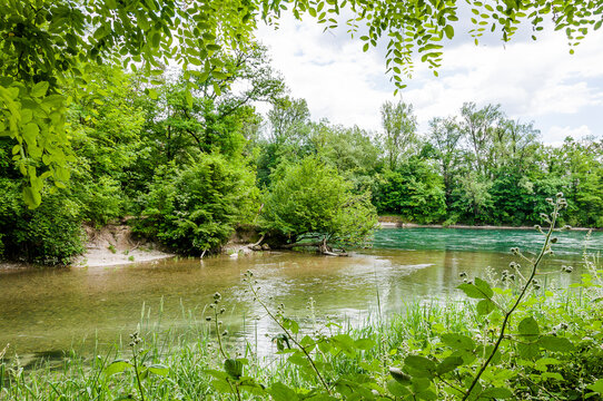 Brugg, Wasserschloss, Flusslandschaft, Aare, Fluss, Aareuferschutzgebiet, Wald, Waldweg, Br&uuml;ckenwanderung, Auenschutzpark, Aargau, Sommer, Schweiz