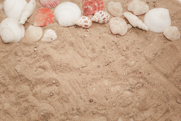 The concept for putting text in the summer, which consists of shells decorated as a frame and a sandy background.flat lay,top view,top-down. design for banner,mockup and advertising.