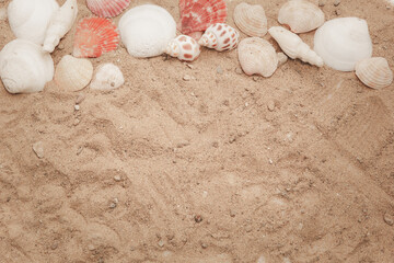 The concept for putting text in the summer, which consists of shells decorated as a frame and a sandy background.flat lay,top view,top-down. copy space.
