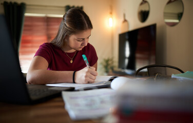 Young teenage schoolgirl doing homework in lounge at home