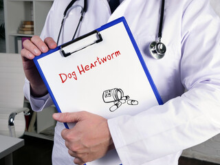 Medical concept about Dog Heartworm  with phrase on the sheet.