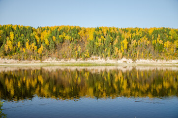 autumn yellow forest on the river Bank. Blue sky and forest reflected in the water.