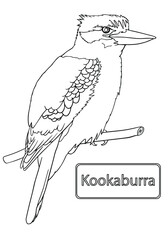 Hand drawn vector illustration of a Kookaburra. Сoloring page for coloring book in black and white.

