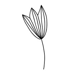 Obraz premium Hand drawn flower doodle