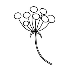 Cute single hand drawn herbal element