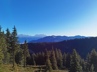 hunting on the mountain in autumn on a sunny day with a beautiful view to the alps