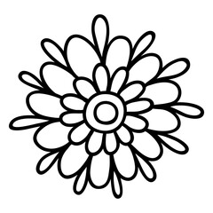 Vector contour drawing