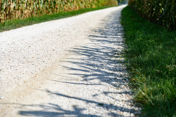 feldweg tiefenschärfe