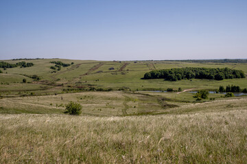 Fototapeta premium green meadows and fields