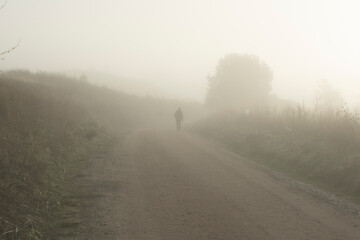 Camino con niebla al amanecer en otoño