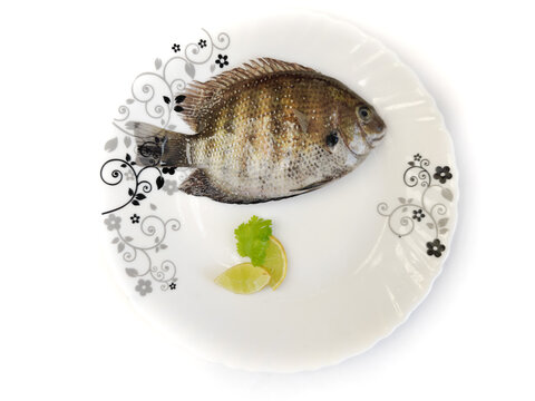 Fresh Pearl spot fish /Karimeen (Etroplus Suratensisi) Decorated with lemon slice and corriander leaves on a white plate ,white background.