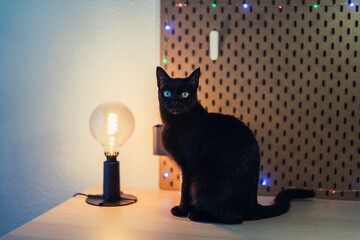 Escritorio con luces y tablet en la mesa