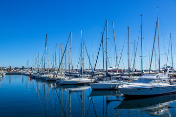 boats in marina