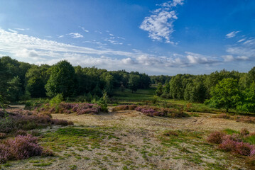 Landschaft der Wahner Heide bei Troisdorf