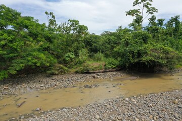 A small tropical river in the Amazonian rainforest with a canoe is placed along the riverbed