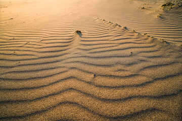 Wind patterns in the sand