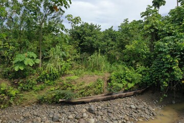 A wooden canoe placed along the riverbed of a tropical river in the Amazon rainforest