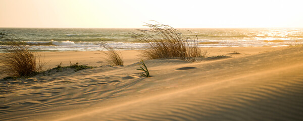 Wind swept sand dunes at sunset