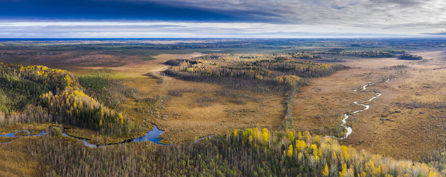 Panoramic autumn colored view to the swampy river floodplain and marshes