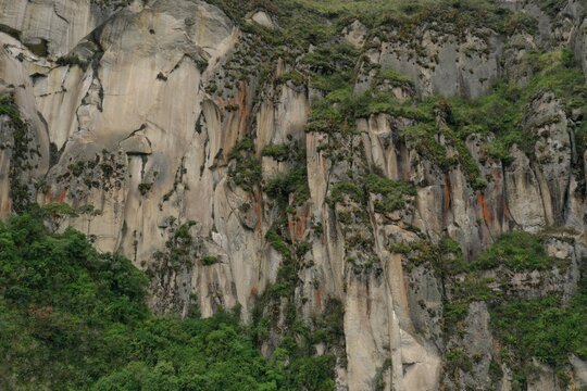 A large cliff in the andean mountains of Ecuador that is covered by grasses and bromelias