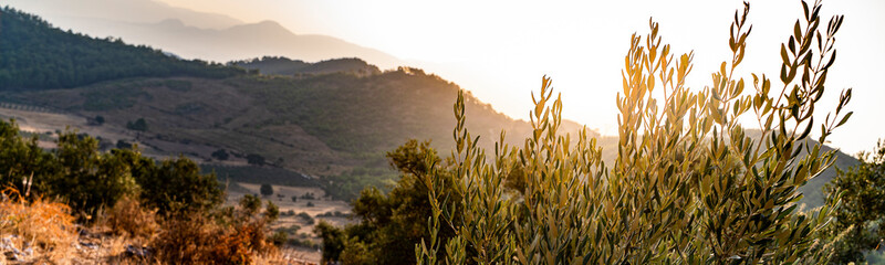 Sunset on a mountainside panoramic