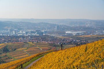 Vineyards between Kappelberg and Rotenberg in Stuttgart - Beautiful landscape scenery in autumn -...